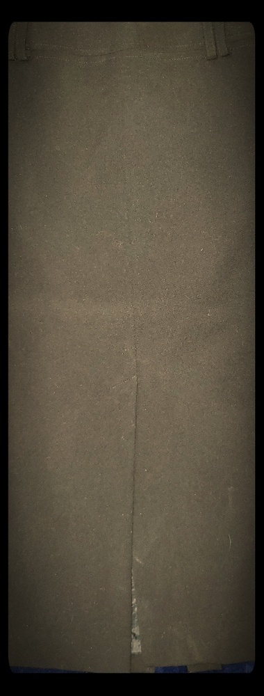 Worthington skirt